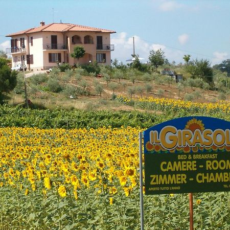 B&B Il Girasole - Rooms & House In Country - 1500 Meters From The City Montepulciano Stazione Dış mekan fotoğraf