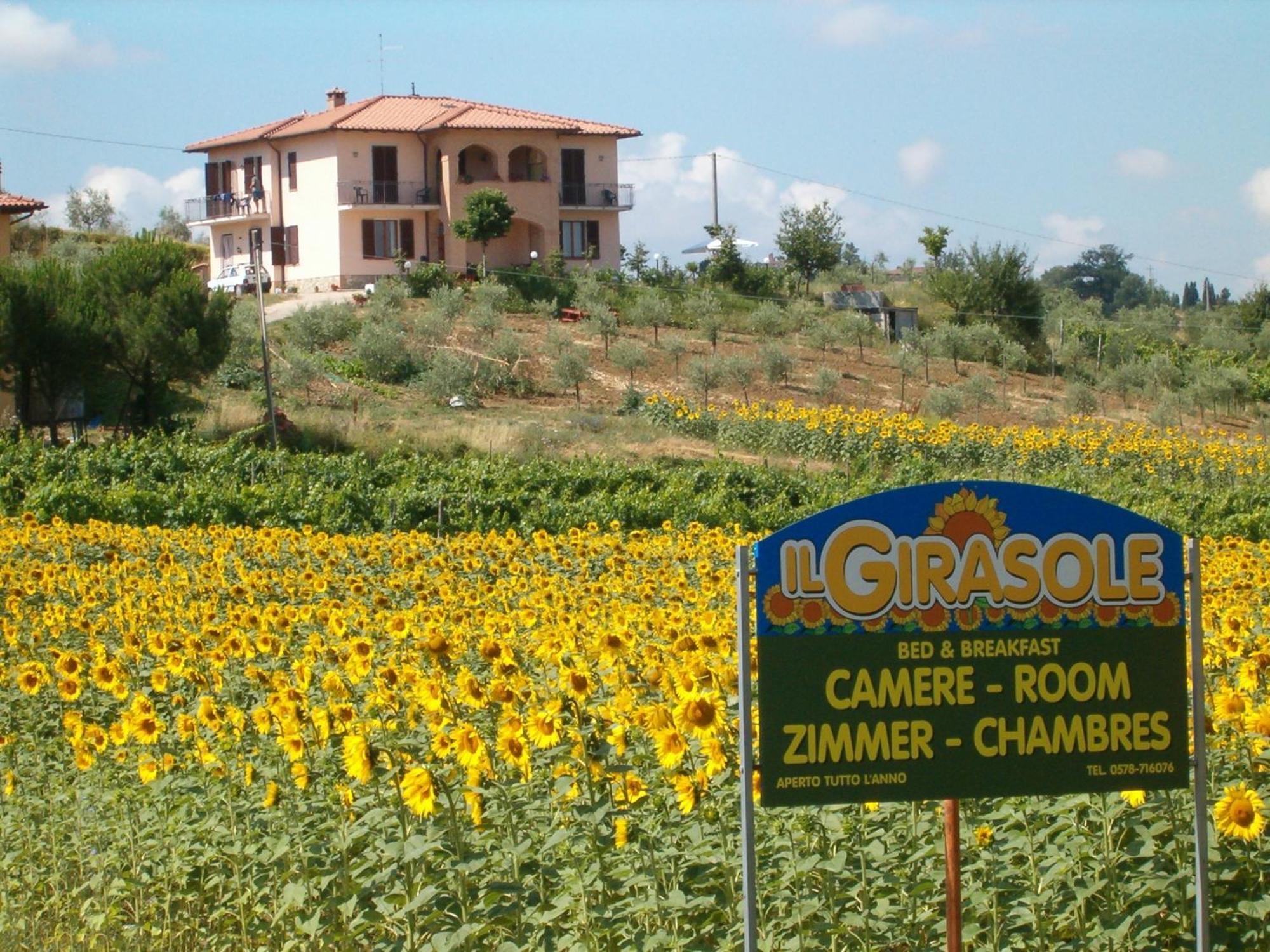 B&B Il Girasole - Rooms & House In Country - 1500 Meters From The City Montepulciano Stazione Dış mekan fotoğraf