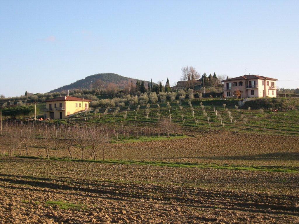 B&B Il Girasole - Rooms & House In Country - 1500 Meters From The City Montepulciano Stazione Dış mekan fotoğraf