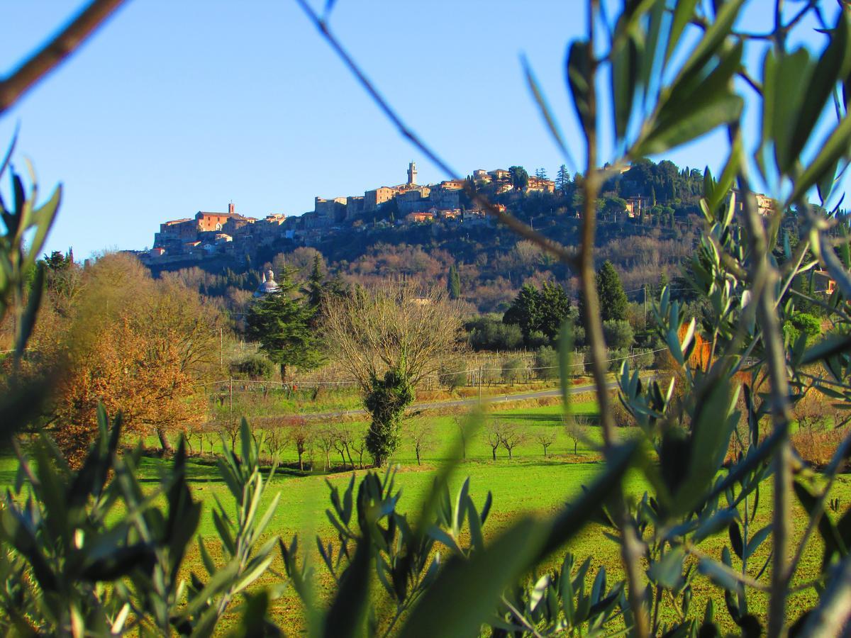 B&B Il Girasole - Rooms & House In Country - 1500 Meters From The City Montepulciano Stazione Dış mekan fotoğraf