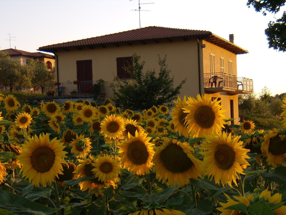 B&B Il Girasole - Rooms & House In Country - 1500 Meters From The City Montepulciano Stazione Dış mekan fotoğraf