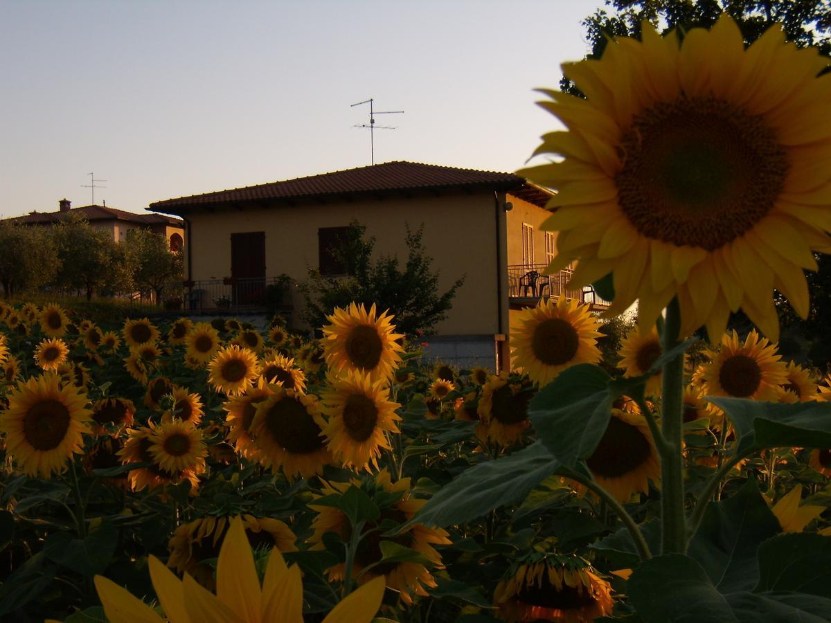 B&B Il Girasole - Rooms & House In Country - 1500 Meters From The City Montepulciano Stazione Dış mekan fotoğraf